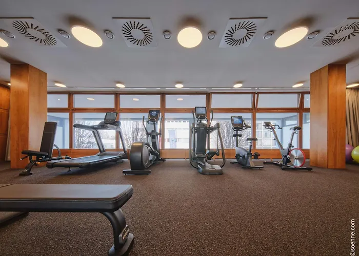 Otel Dorint City-hotel 4*