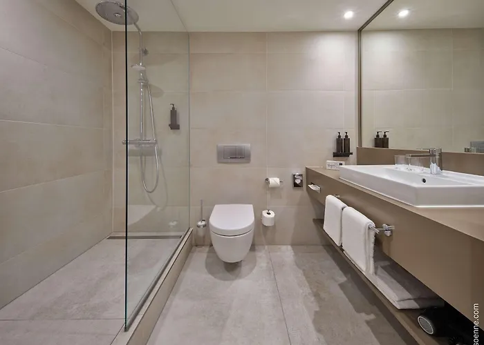 Dorint City-hotel Otel 4*